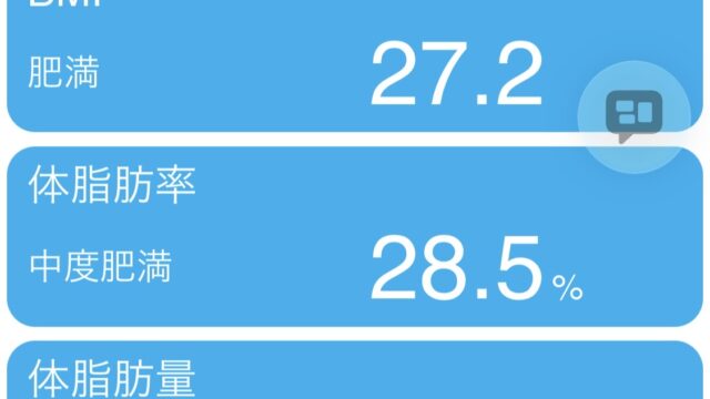 93kgからの低強度ランニング再始動 #2 2026/05/11 Screenshot