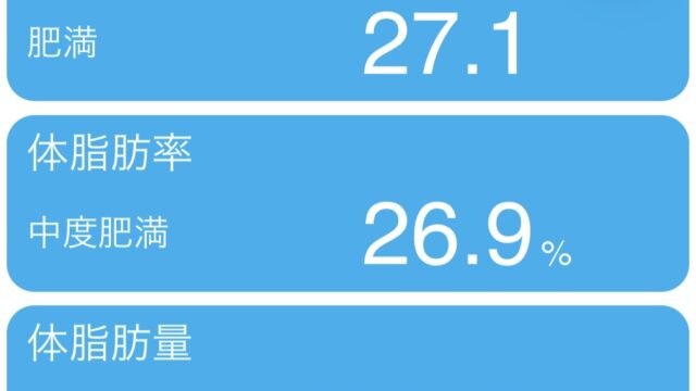 93kgからの低強度ランニング再始動 #3 2026/05/12 Screenshot