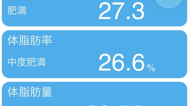 93kgからの低強度ランニング再始動 #4 2026/05/13 Screenshot