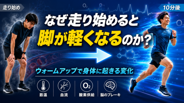 なぜ走り始めると脚が軽くなるのか｜ウォームアップで身体に起きる変化